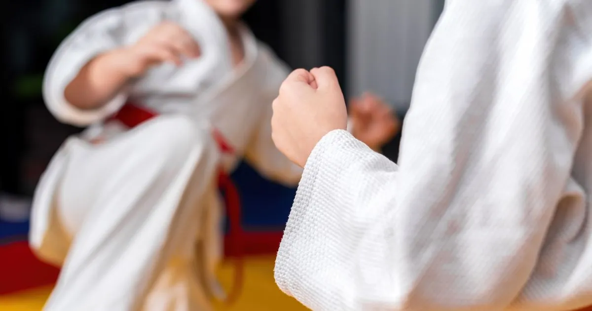 9 motivi per cui gli sport da combattimento esplodono online